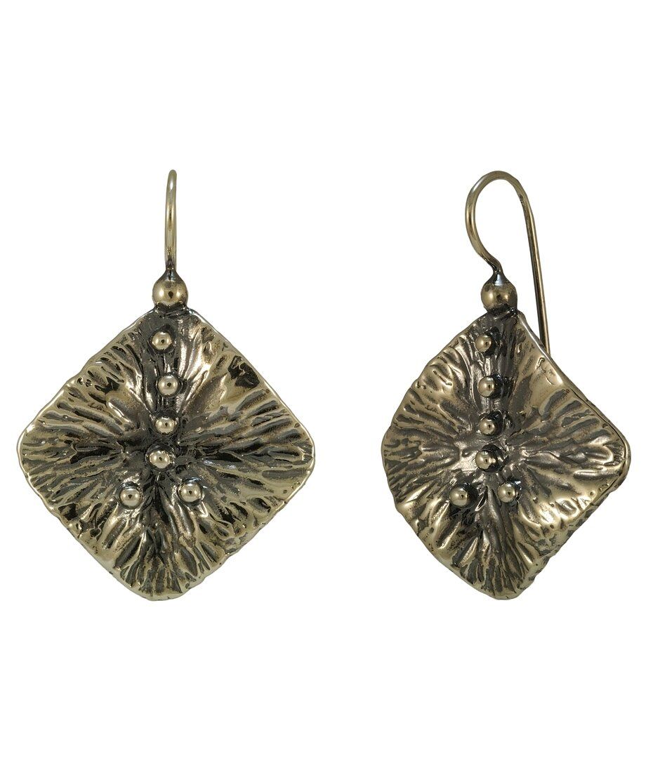 Pendientes cierre hippie plata envejecida con formas naturales Pendientes cierre hippie plata envejecida con formas naturales