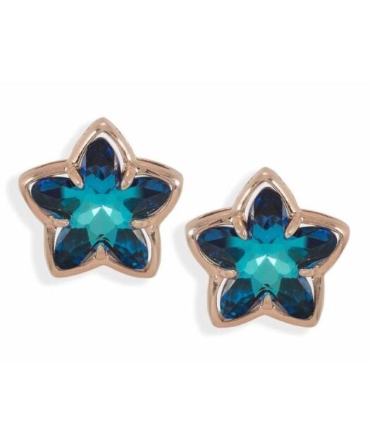 Pendientes con una estrella azul oscuro
