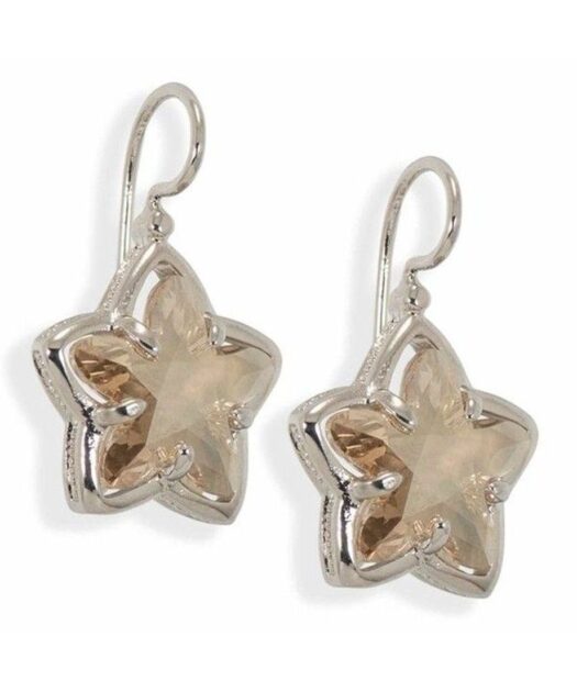 Pendientes de gancho con una estrella marrón de plata de ley rodinada